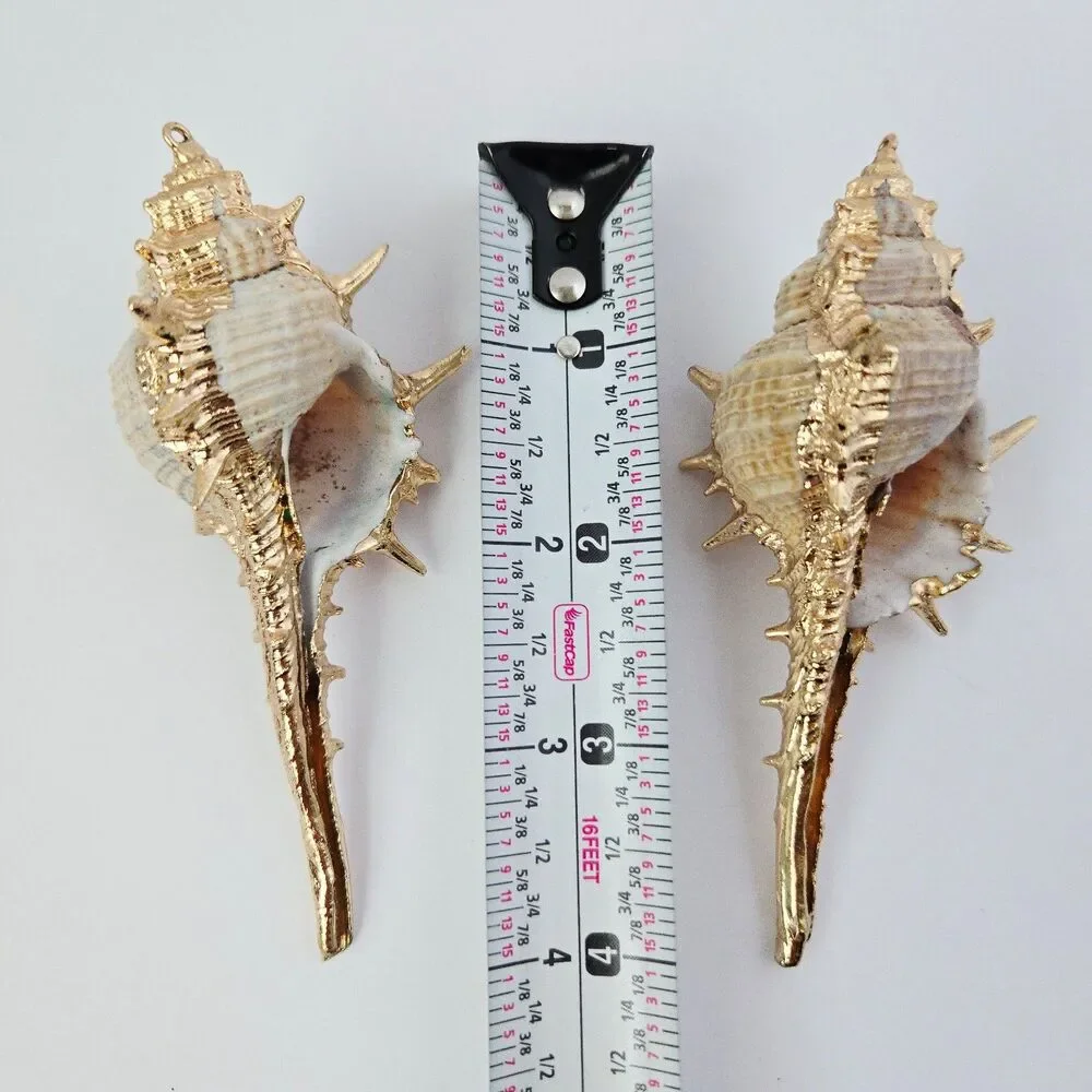 2 Large Natural Shell Charm Pendants for Jewelry Making Craft Supply Earrings